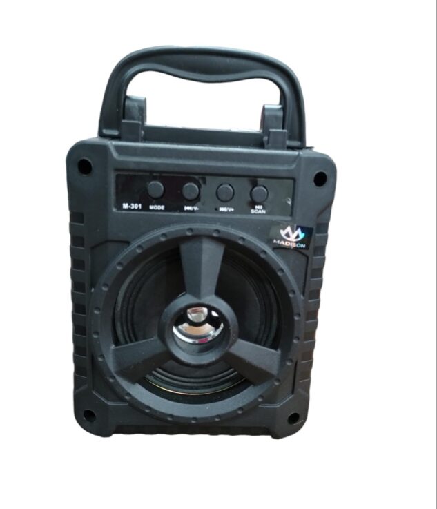 Portable BT Speaker