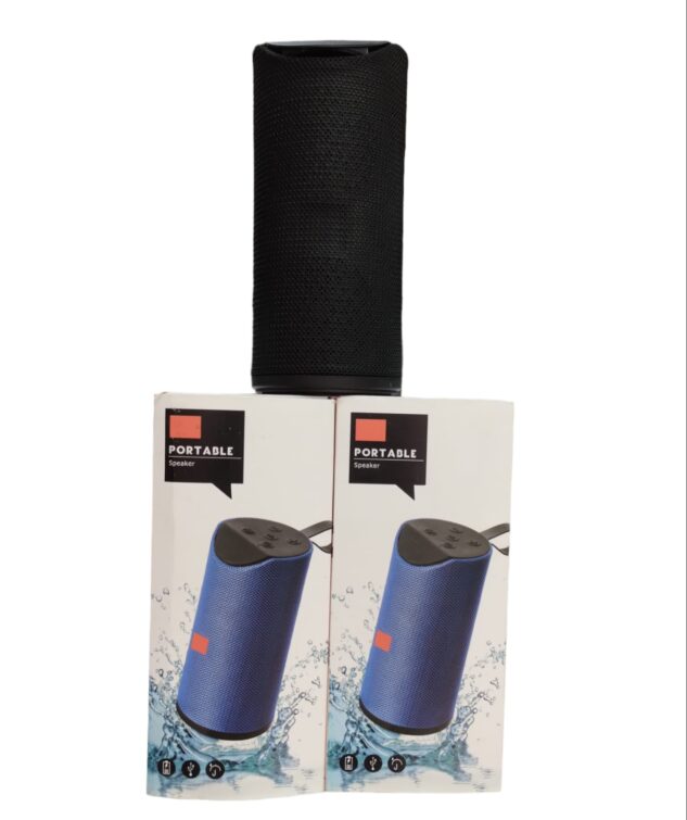 Portable Speaker